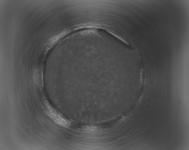 X0000085820349200703161228
