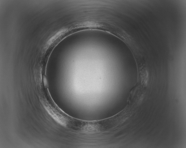X0000085820350200703161229