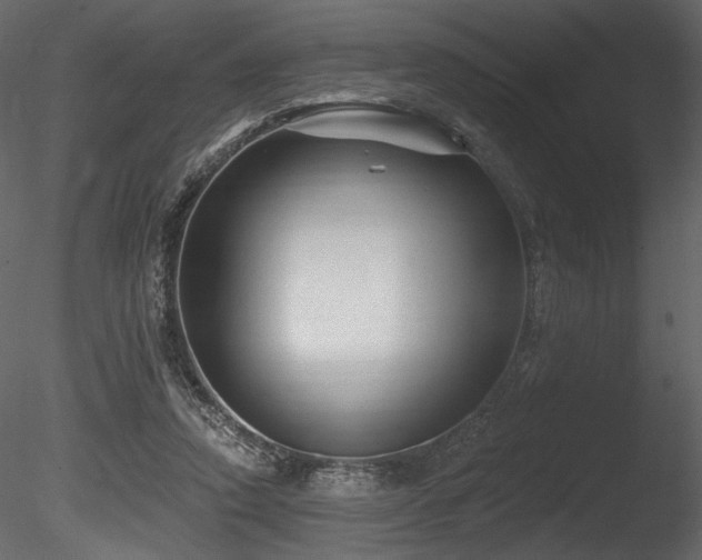X0000085820354200703161229