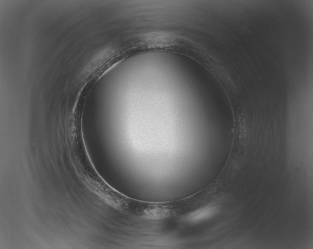 X0000085820362200703161229