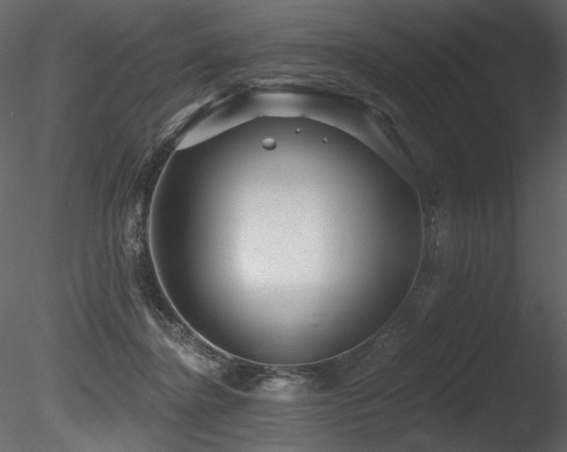 X0000085820364200703161229
