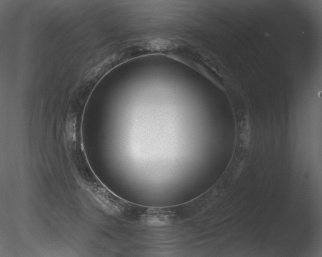 X0000085820368200703161229