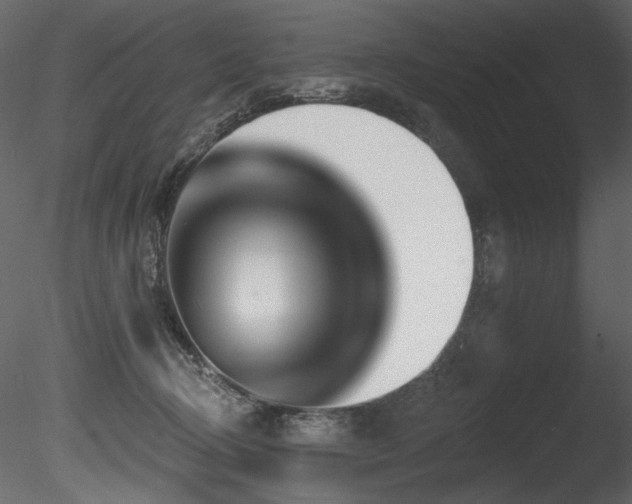 X0000085820370200703161229