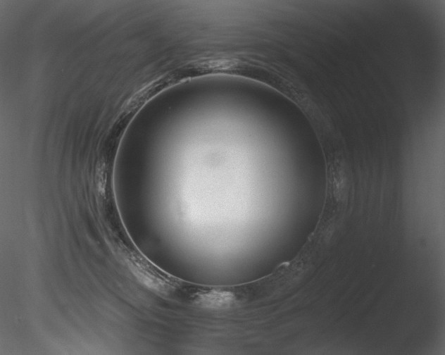 X0000085820374200703161229