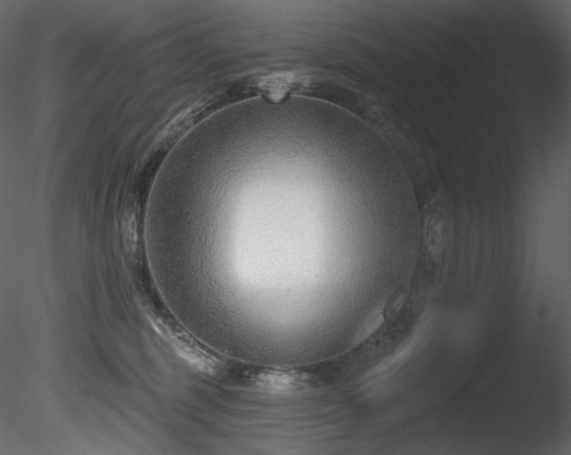 X0000085820375200703161229
