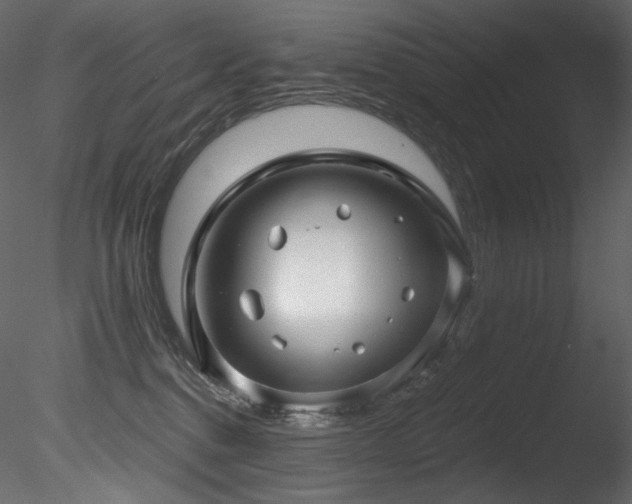 X0000085820376200703161229
