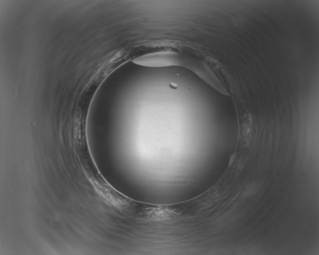 X0000085820379200703161229