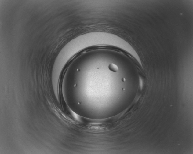 X0000085820380200703161229