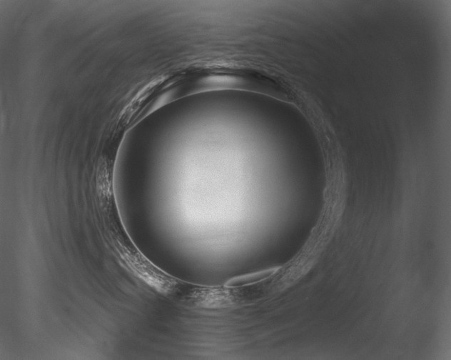 X0000085820384200703161229