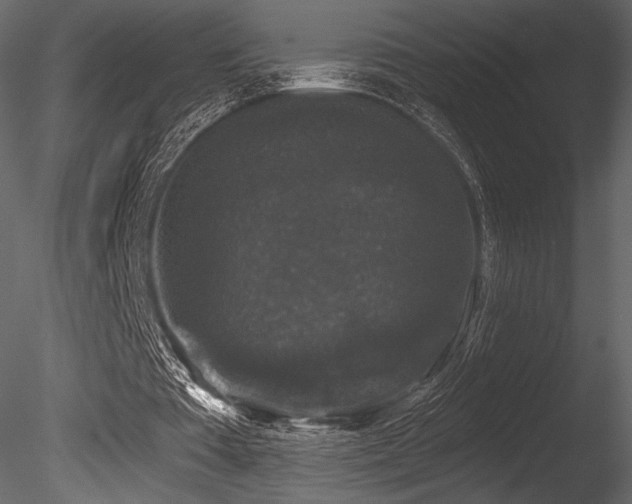 X0000085820385200703161228