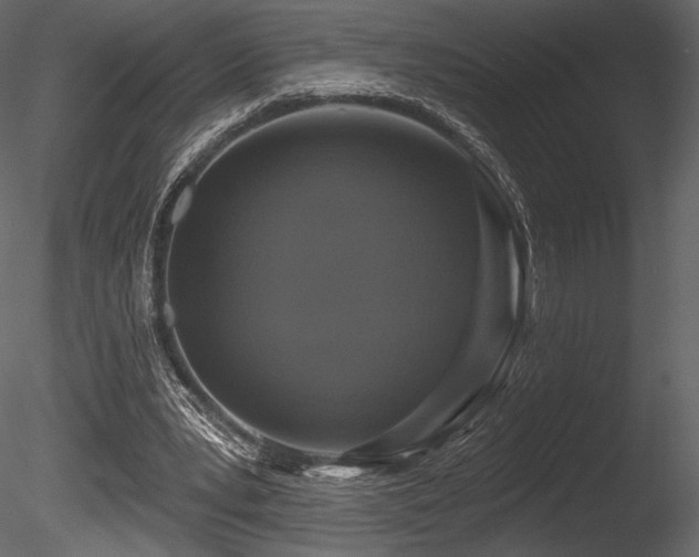 X0000085820391200703161228