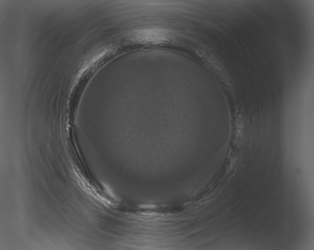 X0000085820399200703161228