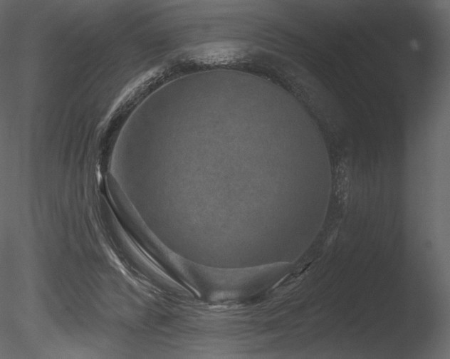 X0000085820400200703161228
