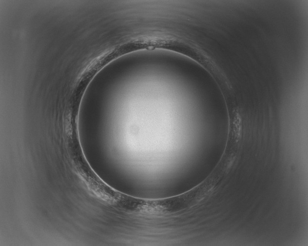 X0000085820403200703161228