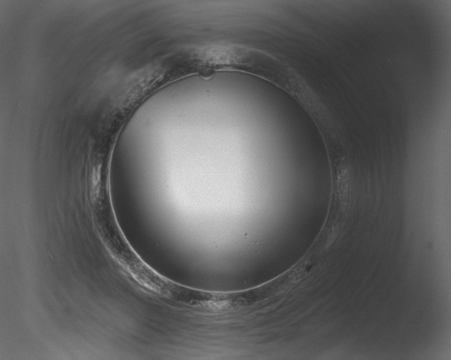 X0000085820406200703161228