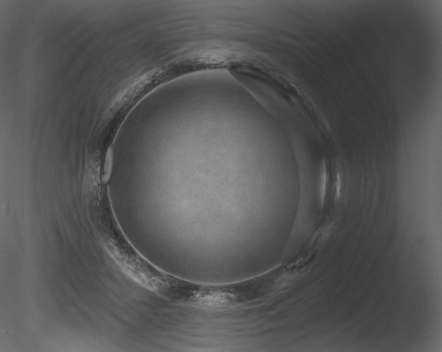 X0000085820407200703161228