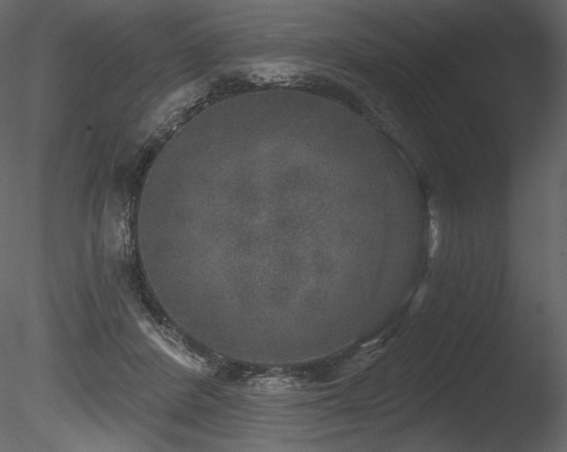X0000085820408200703161228