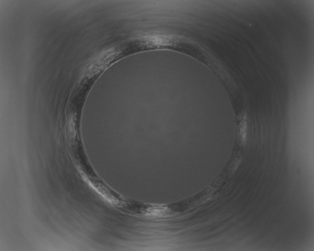 X0000085820410200703161228