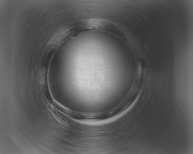 X0000085820413200703161228