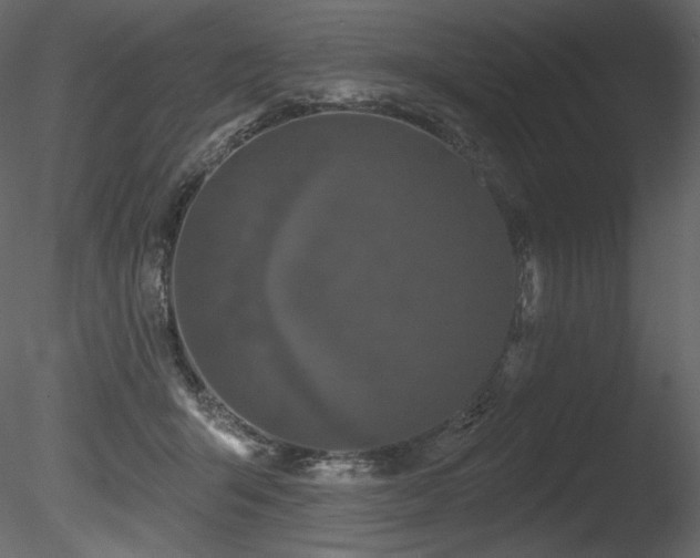 X0000085820415200703161228