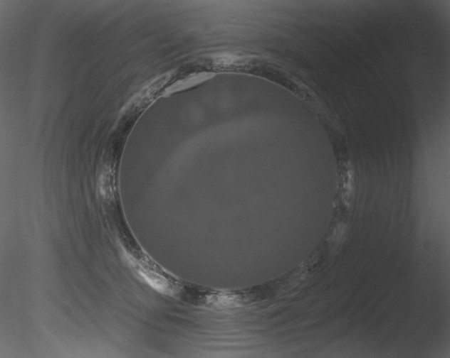 X0000085820419200703161228