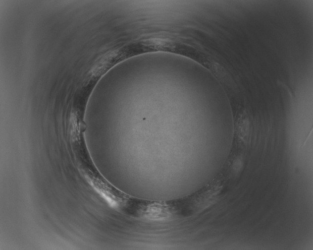 X0000085820420200703161228