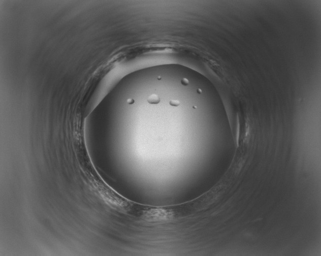 X0000085820421200703161228