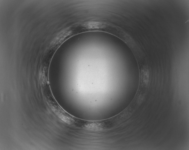 X0000085820422200703161228