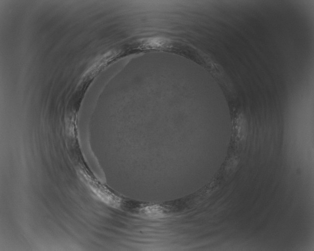 X0000085820423200703161228