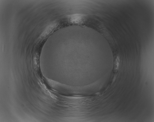 X0000085820424200703161228
