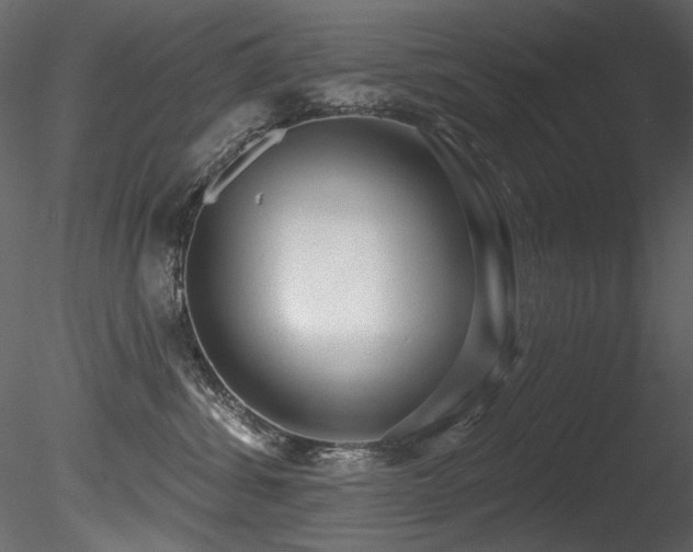 X0000085820428200703161228