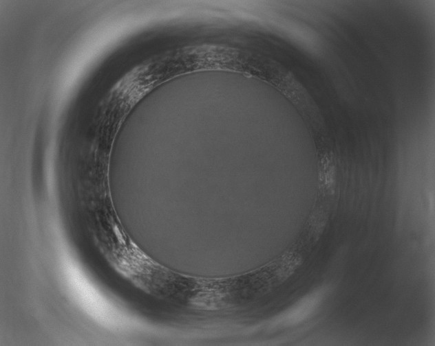 X0000085820431200703161227