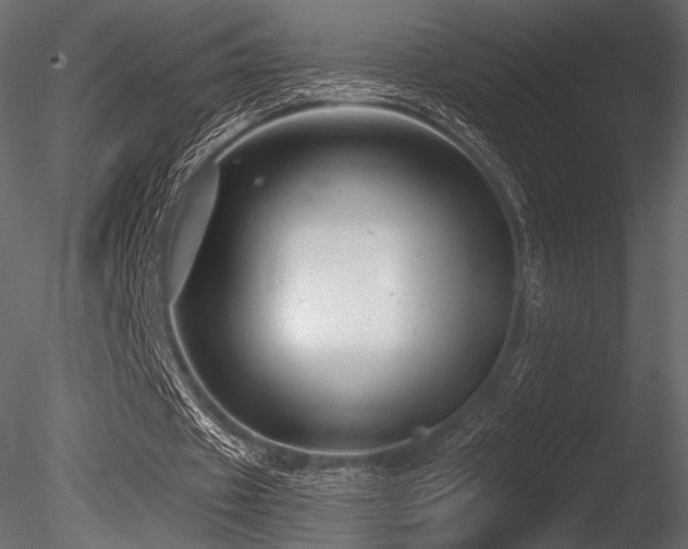 X0000085820433200703161227