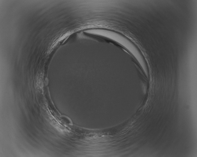X0000085820434200703161227