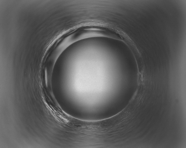 X0000085820436200703161227