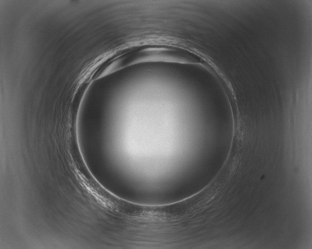 X0000085820437200703161227