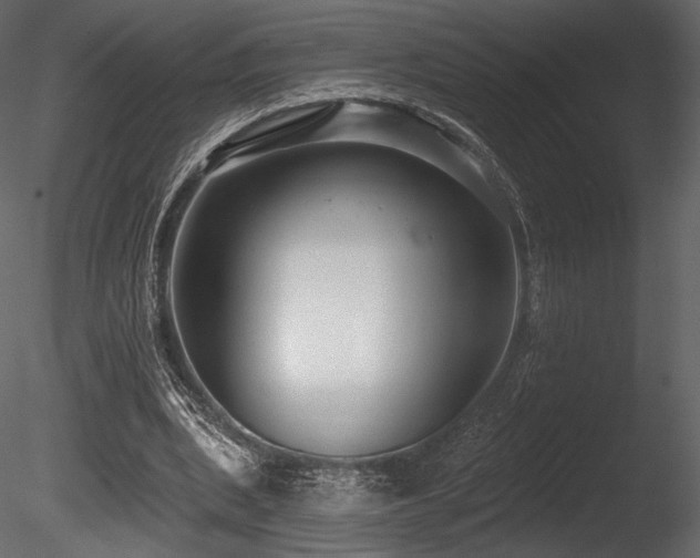X0000085820439200703161227