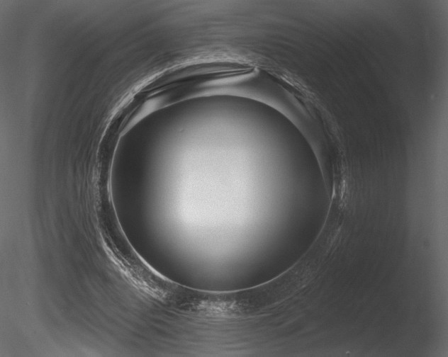X0000085820440200703161227