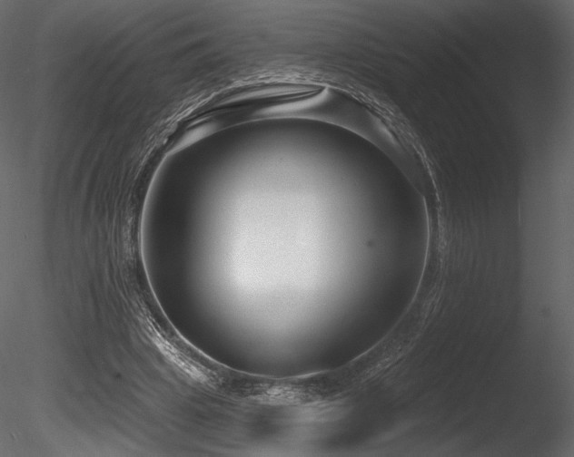 X0000085820441200703161227