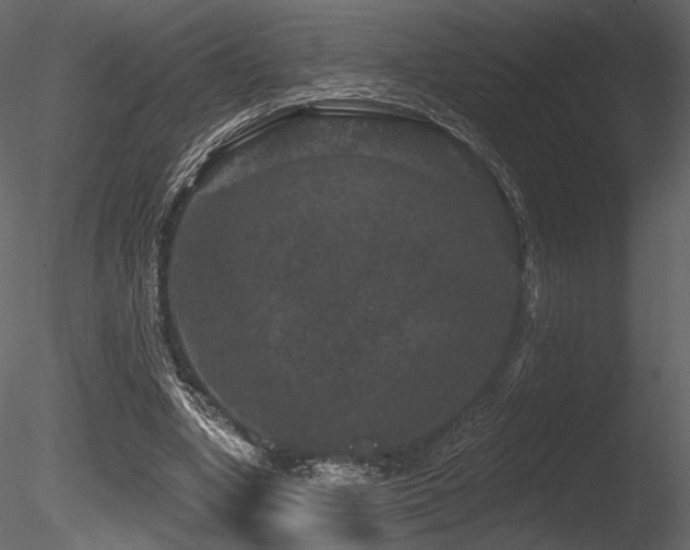 X0000085820442200703161227