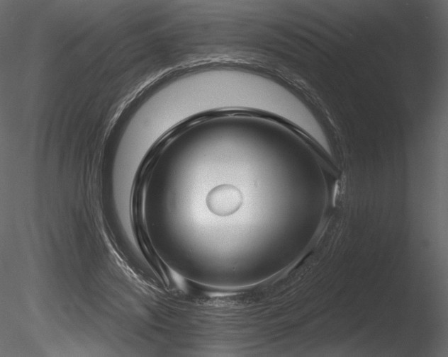 X0000085820444200703161227