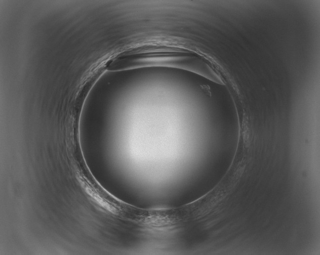 X0000085820445200703161227
