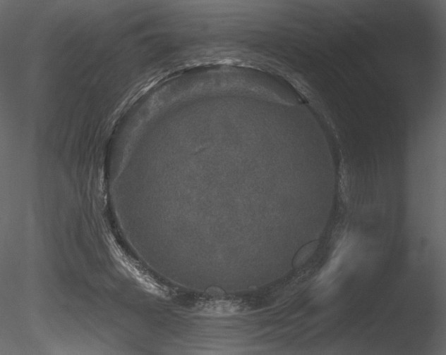 X0000085820449200703161227