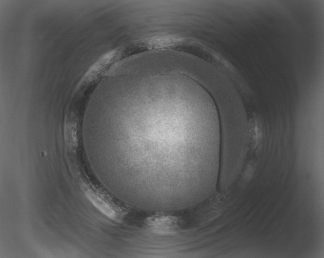 X0000085820452200703161227