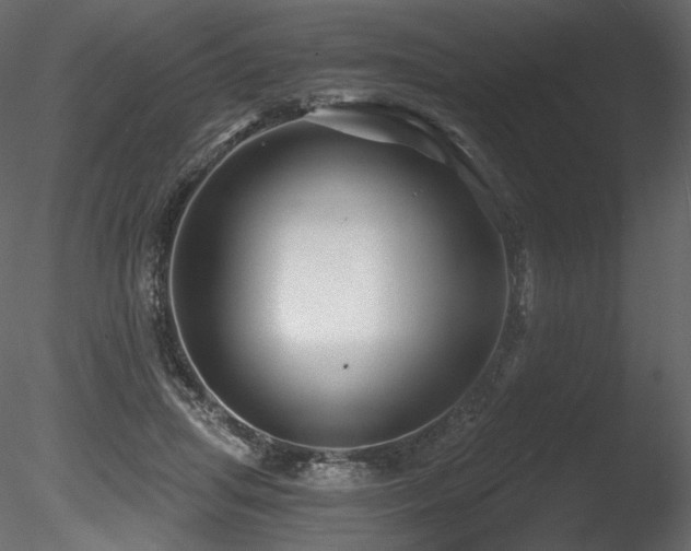 X0000085820455200703161227