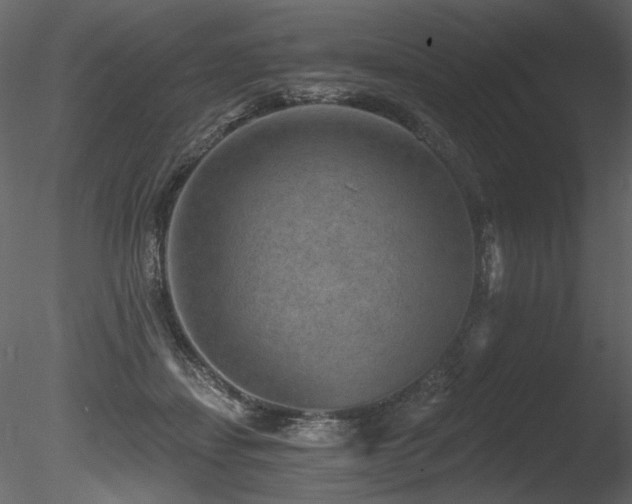 X0000085820459200703161227