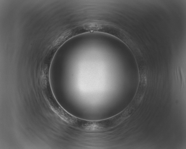 X0000085820460200703161227