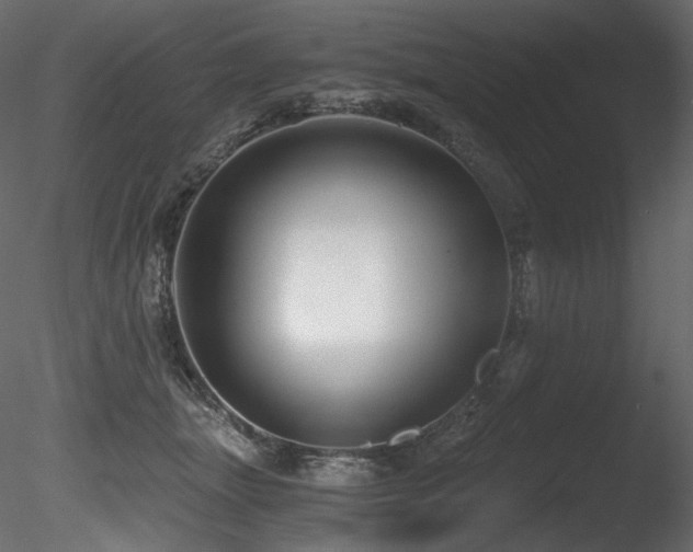 X0000085820463200703161227