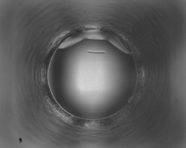 X0000085820470200703161227