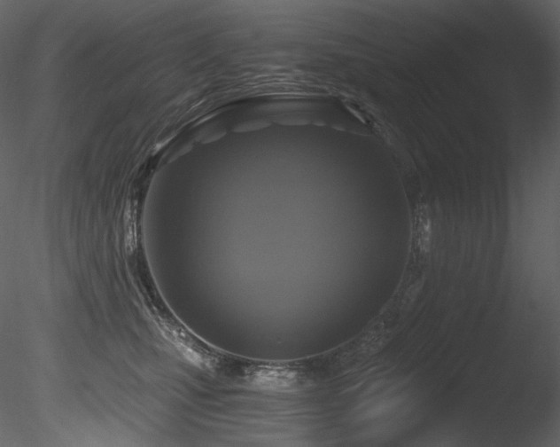 X0000085820471200703161227